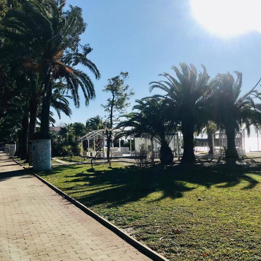 Фото Гостевого дома Guest house on Prospect Vladislava Ardzinba Гагра 2